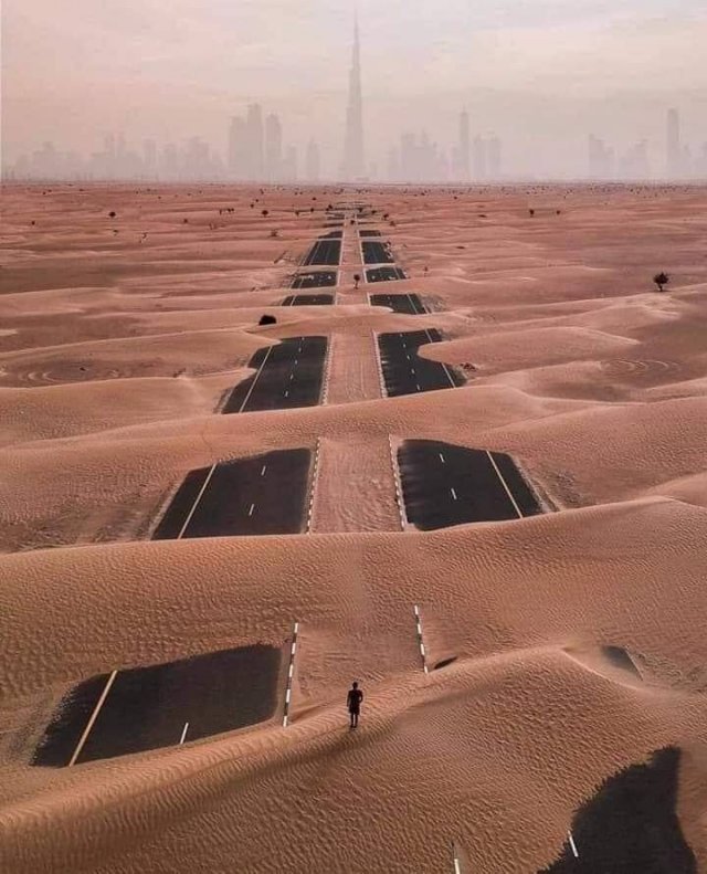 Awesome Photos (55 pics)