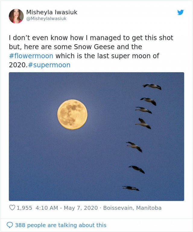 Beautiful May's Flower Moon (27 pics)