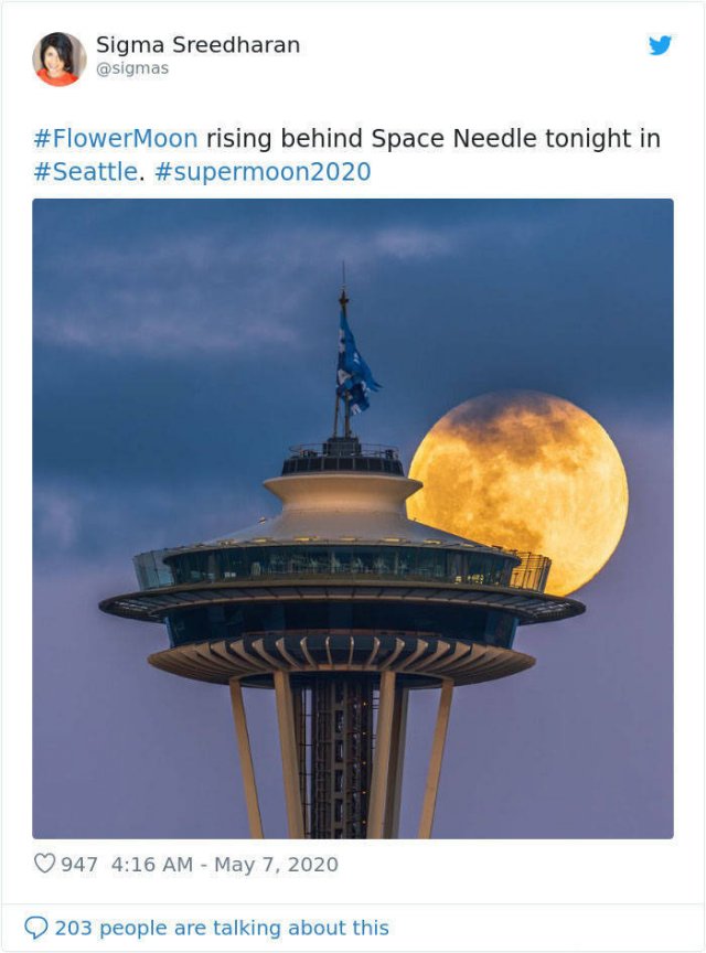 Beautiful May's Flower Moon (27 pics)