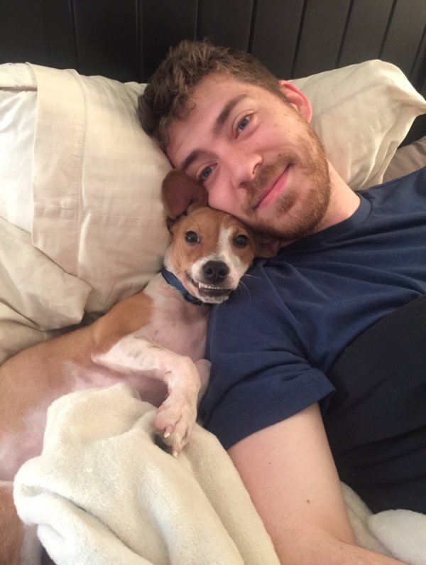 Pets In Beds (29 pics)