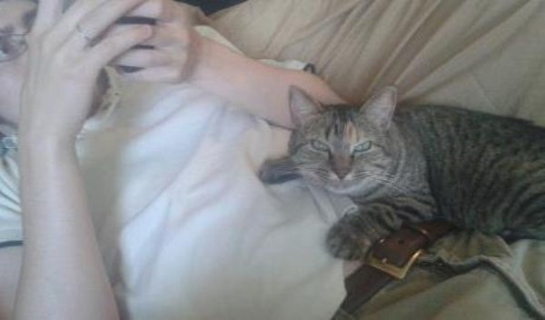 Pets In Beds (29 pics)