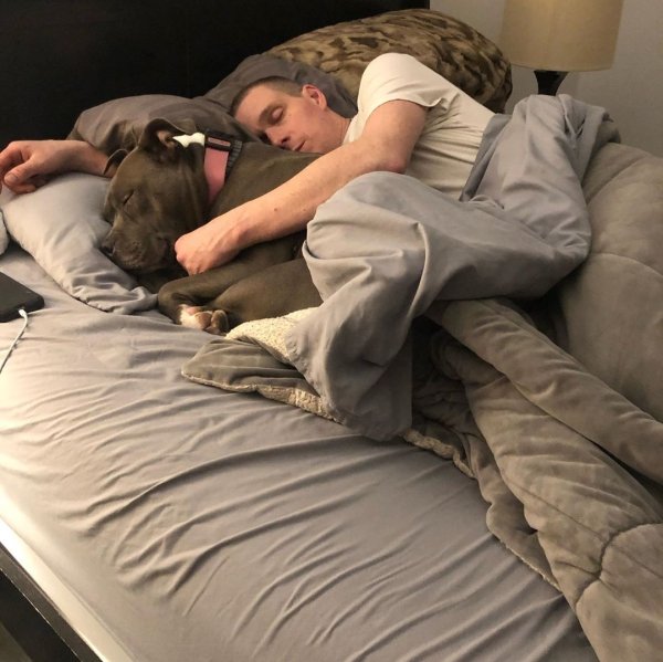 Pets In Beds (29 pics)