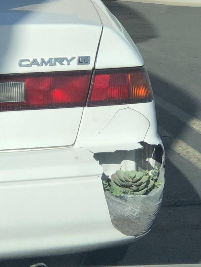 Acid Picdump. Part 1 (95 pics)
