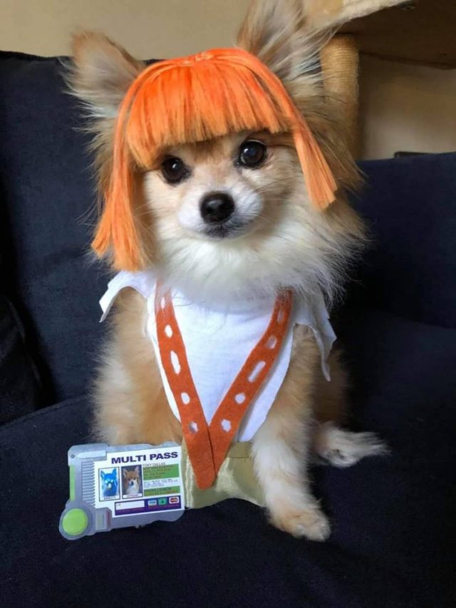 Acid Picdump. Part 1 (95 pics)