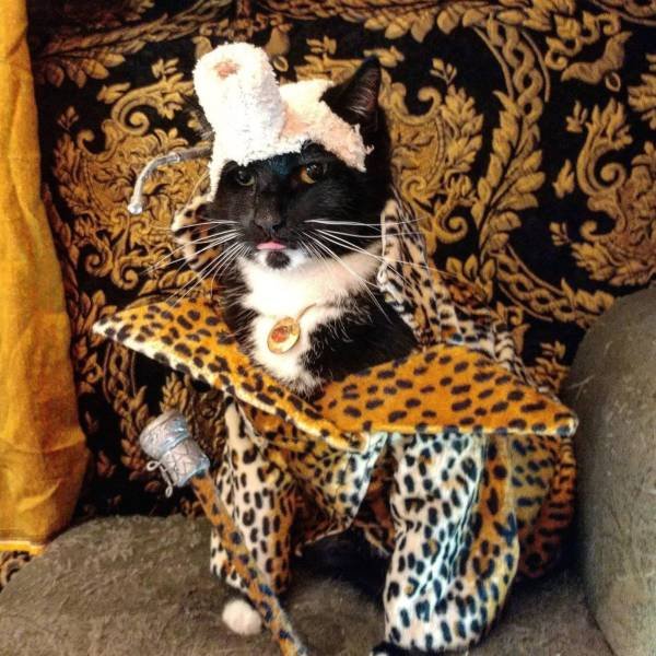 Acid Picdump. Part 1 (95 pics)