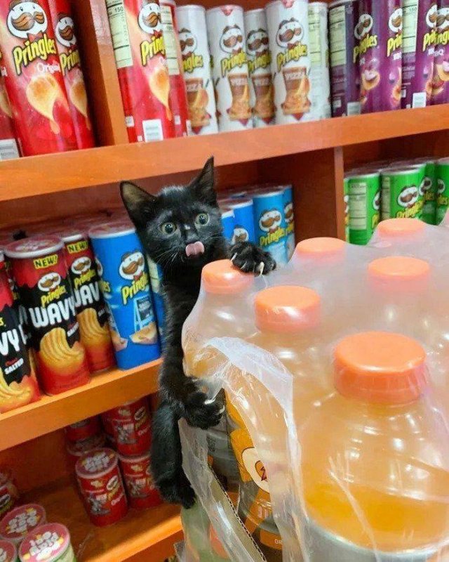 Acid Picdump. Part 1 (95 pics)