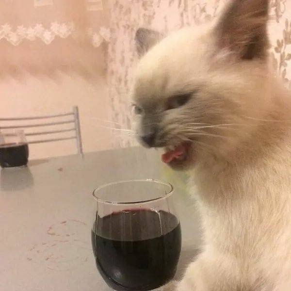 Acid Picdump. Part 1 (95 pics)