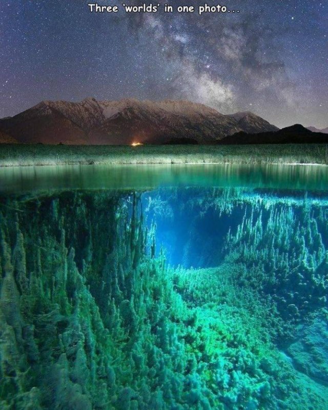 Acid Picdump. Part 1 (95 pics)