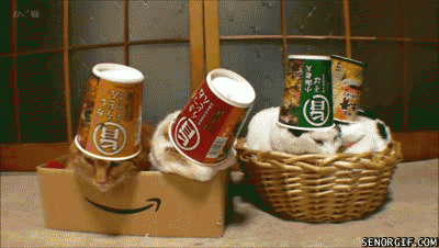 Acid Gifdump, May 11 (25 gifs)