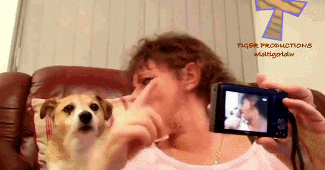 Acid Gifdump, May 11 (25 gifs)