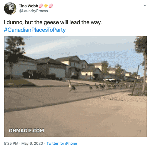 #CanadianPlacesToParty Tweets (23 pics)