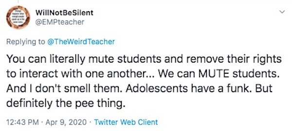 Teacher Problems On Quarantine (28 pics)