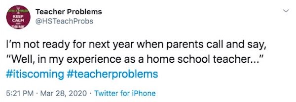 Teacher Problems On Quarantine (28 pics)