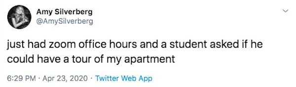 Teacher Problems On Quarantine (28 pics)
