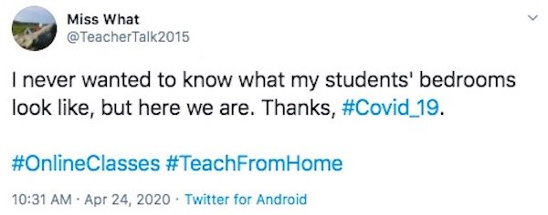 Teacher Problems On Quarantine (28 pics)