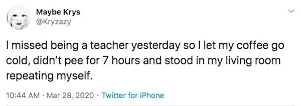 Teacher Problems On Quarantine (28 pics)
