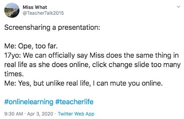 Teacher Problems On Quarantine (28 pics)