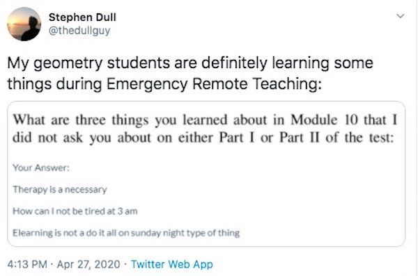 Teacher Problems On Quarantine (28 pics)