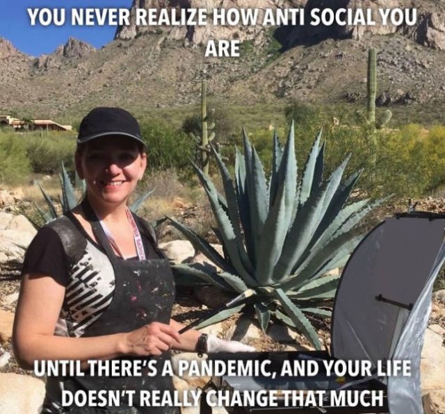 Coronavirus Jokes (45 pics)