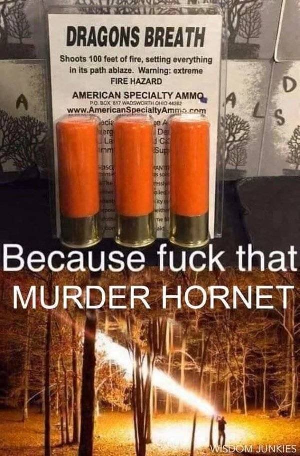 Murder Hornet Memes (29 Pics)