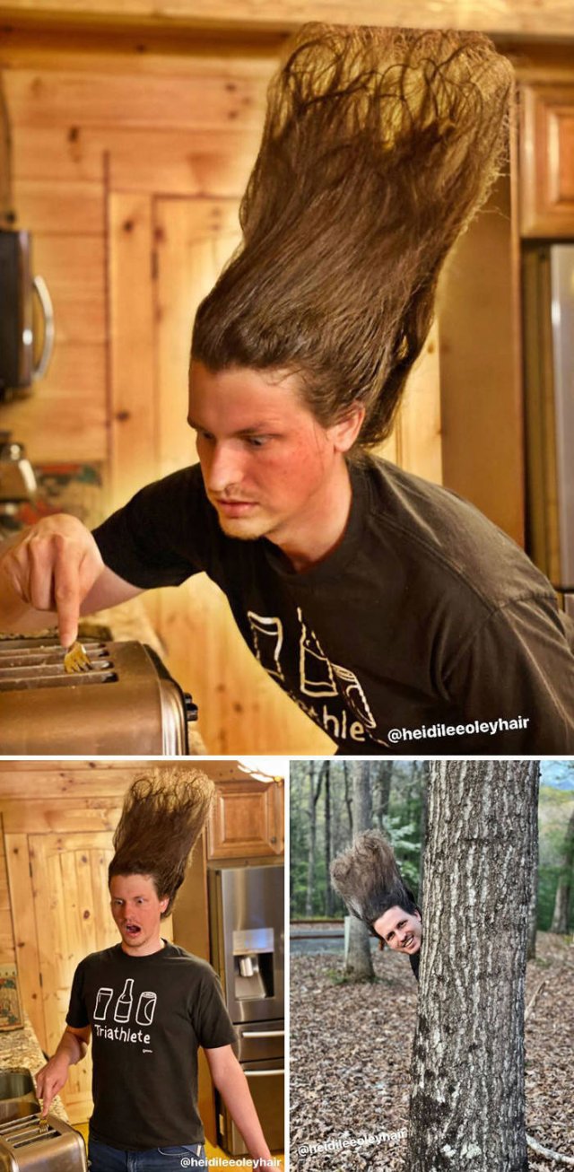This Guy Has A Lot Of Quarantine Hairstyles (21 pics) This Guy Has A Lot Of Quarantine Hairstyles (21 pics)