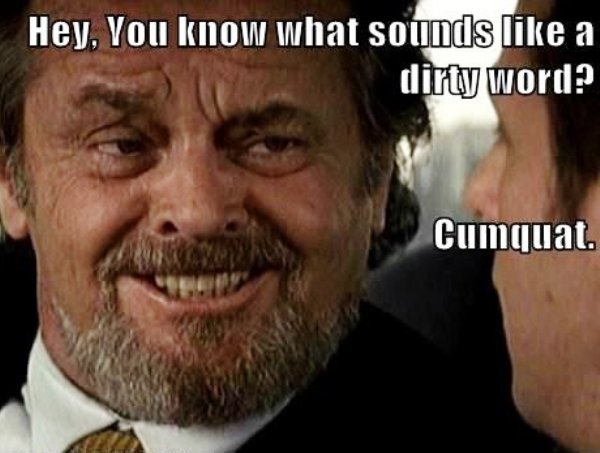 Jack Nicholson Memes And GIFs (27 pics)