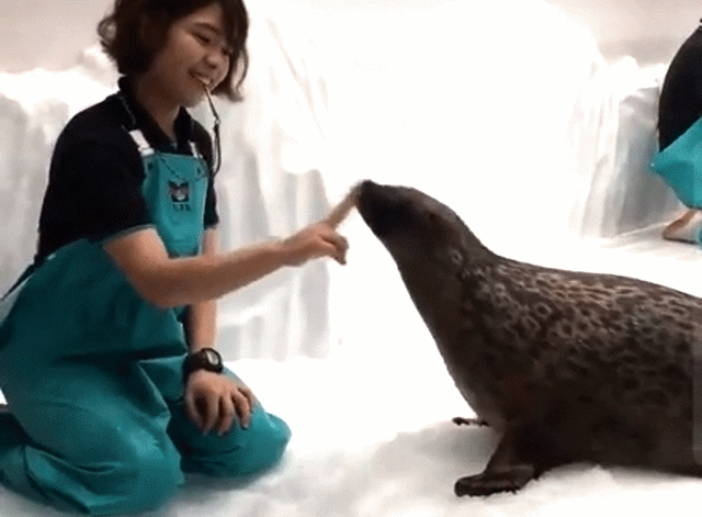 Acid Gifdump, May 12 (25 gifs)