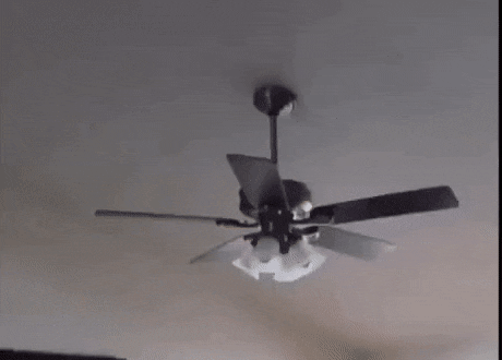 Acid Gifdump, May 12 (25 gifs)