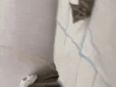 Acid Gifdump, May 12 (25 gifs)