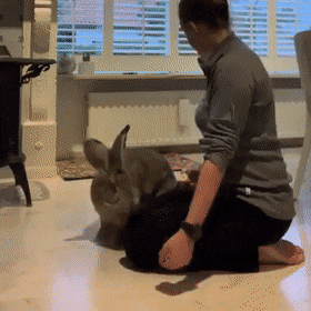 Acid Gifdump, May 12 (25 gifs)