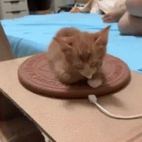 Acid Gifdump, May 13 (25 gifs)