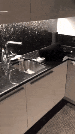 Acid Gifdump, May 13 (25 gifs)