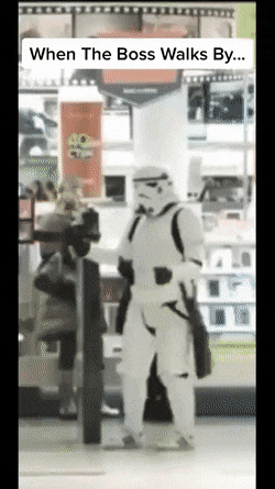 Acid Gifdump, May 13 (25 gifs)