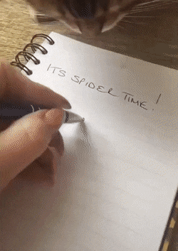 Acid Gifdump, May 13 (25 gifs)