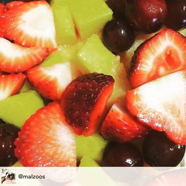 Why Kids Refuse To Eat Their Food (39 pics)