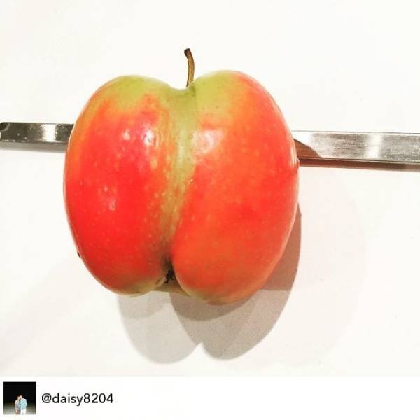 Why Kids Refuse To Eat Their Food (39 pics)