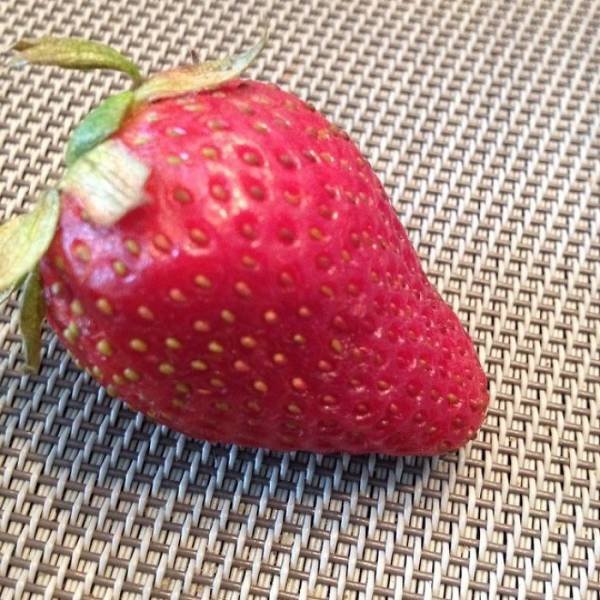Why Kids Refuse To Eat Their Food (39 pics)