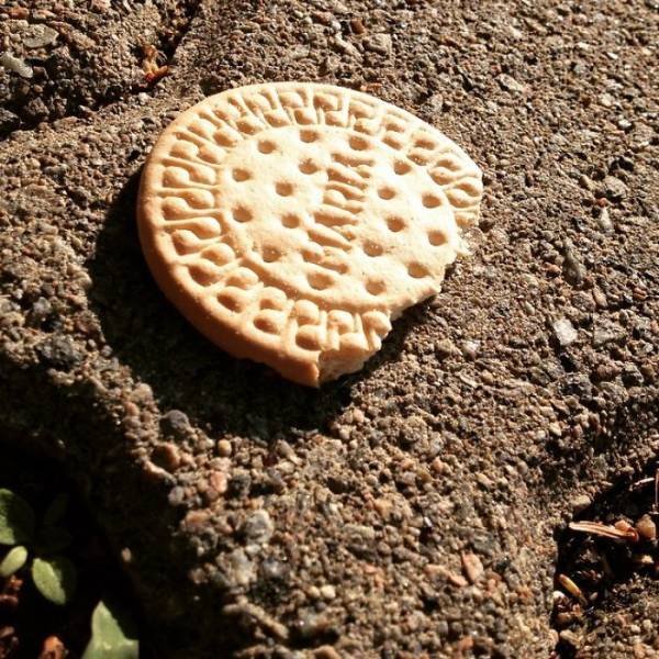 Why Kids Refuse To Eat Their Food (39 pics)