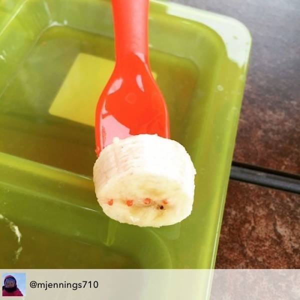 Why Kids Refuse To Eat Their Food (39 pics)