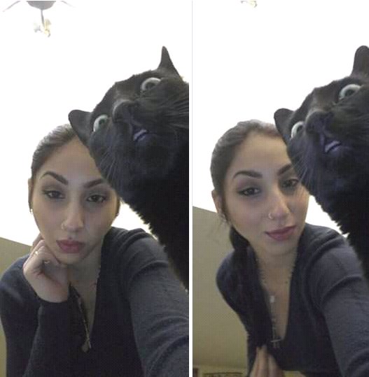 Selfies With Pets (29 pics)