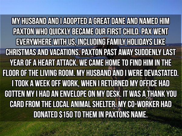 Here Lives Kindness (17 pics)