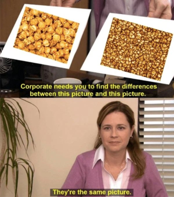 Things That Happened In 2020 (18 pics)