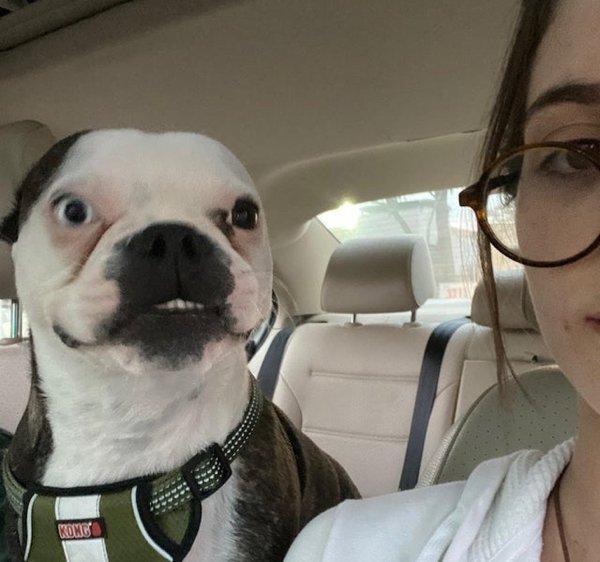 Selfies With Pets (29 pics)
