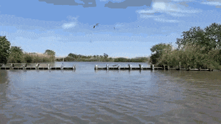 Acid Gifdump, May 14 (25 gifs)