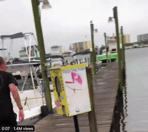 Acid Gifdump, May 14 (25 gifs)