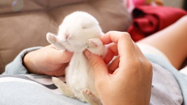 No Words Needed For These Pictures (56 pics)