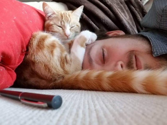 No Words Needed For These Pictures (56 pics)