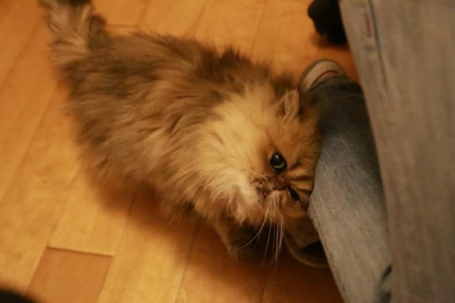 No Words Needed For These Pictures (56 pics)