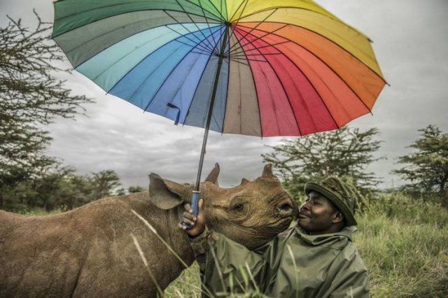 No Words Needed For These Pictures (56 pics)
