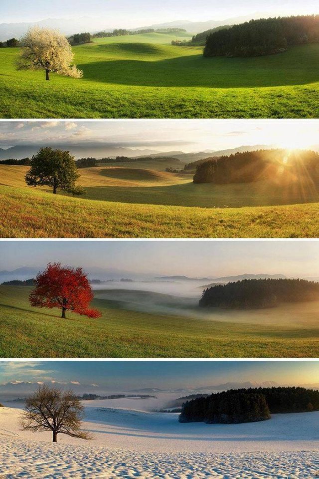 No Words Needed For These Pictures (56 pics)